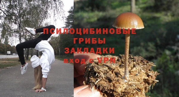 PSILOCYBIN Богданович