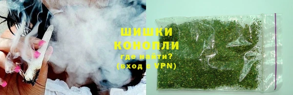 PSILOCYBIN Богданович