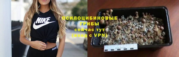 PSILOCYBIN Богданович