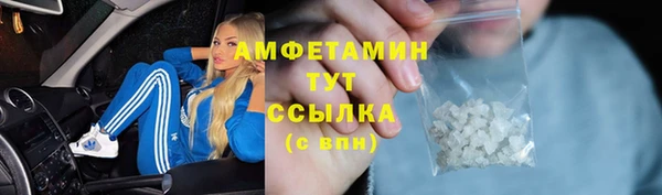 PSILOCYBIN Богданович