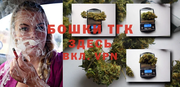 PSILOCYBIN Богданович
