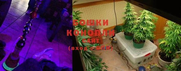 PSILOCYBIN Богданович
