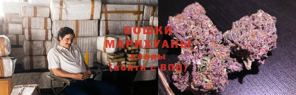 PSILOCYBIN Богданович