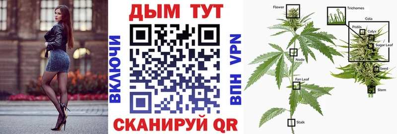 купить наркотик  Белебей  Бошки Шишки марихуана 
